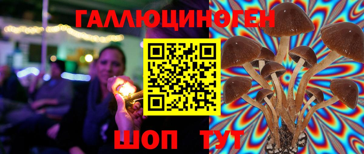 Псилоцибиновые грибы Magic Shrooms  Вход с VPN  Псилоцибиновые грибы Psilocybe  Кандалакша 